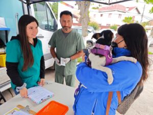 Instalarán microchip a perros de manera gratuita, operativo se realiza este sábado, en el marco del boulevard que está organizando la municipalidad de La Cruz.