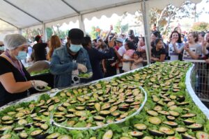 En La Cruz se hizo la palta reina más grande de Chile