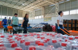 Ministra de Bienes Nacionales visita propiedad fiscal utilizada para la emergencia