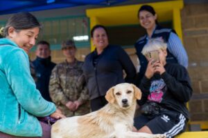 Subdere entrega recursos al municipio de Quilpué para realizar atenciónveterinaria a animales afectados por los incendios