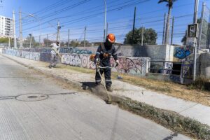 Programa de deshierbe 2023-2024 del Municipio Abierto de Quilpué alcanzó los 70 kilómetros de trabajo
