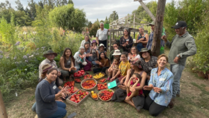 Semilla Austral: Guardianes de la biodiversidad y la soberanía alimentaria en Chile