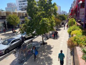 MUNICIPIO DE VIÑA DEL MAR AVANZA EN LICITACIÓN PARA EJECUTAR PROYECTO DE OBRAS Y RECUPERACIÓN DE CALLE VALPARAÍSO