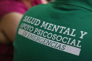 Más de 1.500 atenciones de salud mental ha realizado el Gobierno tras el incendio en Viña del Mar, Quilpué y Villa Alemana