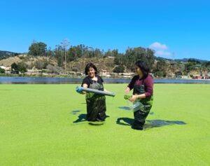 UPLA: Monitoreo de calidad del agua arroja alto contenido de coliformes fecales en estero El Sauce