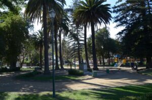 MIRAFLORES BAJO TENDRÁ RECAMBIO DE LUMINARIAS TRAS PROYECTO DEL MUNICIPIO DE VIÑA DEL MAR PARA ILUMINAR EL BARRIO Y MEJORAR SEGURIDAD DE PEATONES