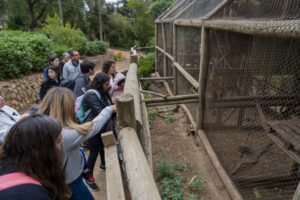 Municipio Abierto de Quilpué quiere promover la recreación en invierno con un amplio abanico de actividades