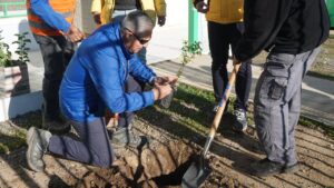 CEMIN y la Municipalidad de Catemu reforestan sede de junta de vecinos en conmemoración del Día del Árbol