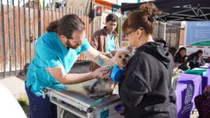 A MOVER LAS PATITAS: VILLA ALEMANA TRAE LA PRIMERA EXPO MUNDO CANINO