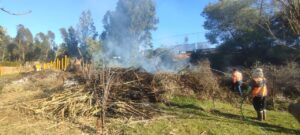 MUNICIPIO Y CARABINEROS DETIENEN RIESGOSA QUEMA ILEGAL EN SECTOR ALTO DE VIÑA DEL MAR