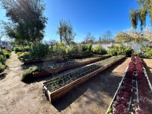 BIOABONO DE SOPRAVAL ENRIQUECERÁ LOS CULTIVOS DE LA RESERVA ECOLÓGICA MUNICIPAL DE LA CALERA