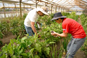 CAPACITARÁN EN ALFABETIZACIÓN DIGITAL A CASI 500 MUJERES RURALES DE LA REGIÓN DE VALPARAÍSO