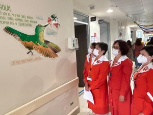 Hospital Dr. Gustavo Fricke inaugura muestra de aves locales en salas de hospitalización infantil