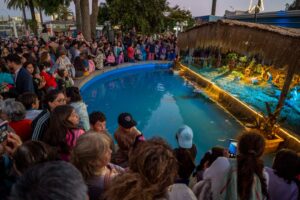 Más de mil personas asistieron a la inauguración del regreso del tradicional pesebre y árbol navideño en Quilpué