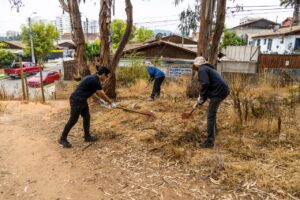 MUNICIPIO DE VIÑA DEL MAR REFUERZA PLAN PREVENTIVO DE INCENDIOS FORESTALES A TRAVÉS DE DESMALEZADO PARTICIPATIVO
