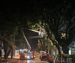 MUNICIPIO DE VIÑA DEL MAR CONCRETA IMPORTANTES PROYECTOS DE ILUMINACIÓN PARA POBLACIÓN VERGARA ORIENTE