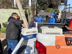 MUNICIPIO CONCRETA OPERATIVO PARA SOLUCIONAR HACINAMIENTO DE MASCOTAS EN VIVIENDA DE REÑACA Y DAR SEGURIDAD A VECINOS